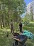 Сургут стал зеленее!. В рамках международной экологической акции в городе прошла масштабная высадка деревьев