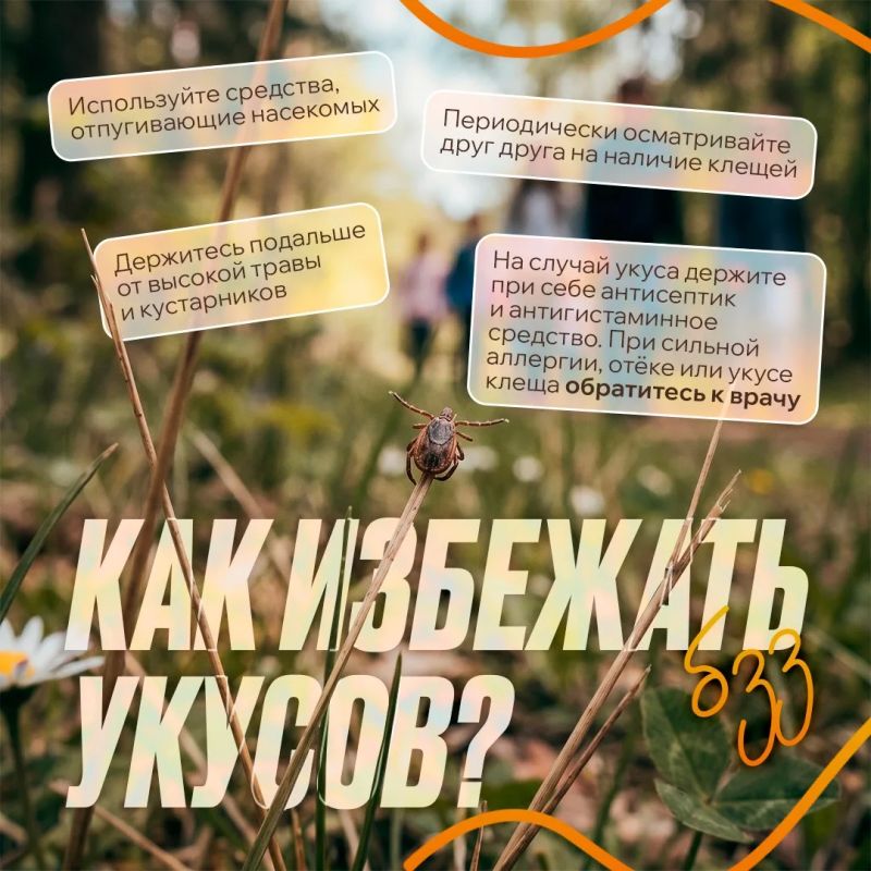 Какое же лето без прогулок, пикников и походов? Какое же лето без прогулок, пикников и походов?
