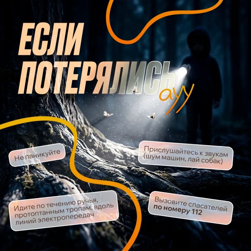Какое же лето без прогулок, пикников и походов? Какое же лето без прогулок, пикников и походов?