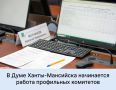 На следующей неделе в Думе города начинается работа профильных комитетов, комиссии по местному самоуправлению, после чего пройдет совместная комиссия и заседание Думы
