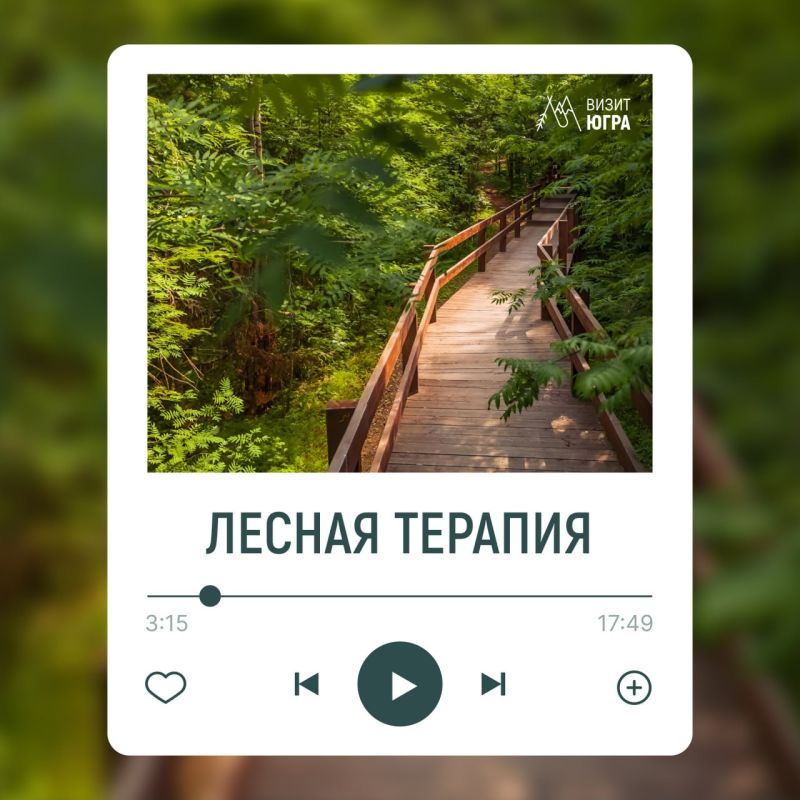 Услышать «Самаровский чугас»? Легко! У природного парка в Ханты-Мансийске появились аудиопрогулки, которые узнать больше о жизни леса Услышать «Самаровский чугас»? Легко! У природного парка в Ханты-Мансийске появились аудиопрогулки, которые узнать больше о жизни леса