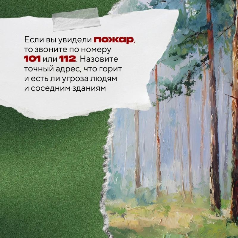 В Югре началась пора отпусков и дачного отдыха — самое время для пикников и прогулок по лесу В Югре началась пора отпусков и дачного отдыха — самое время для пикников и прогулок по лесу