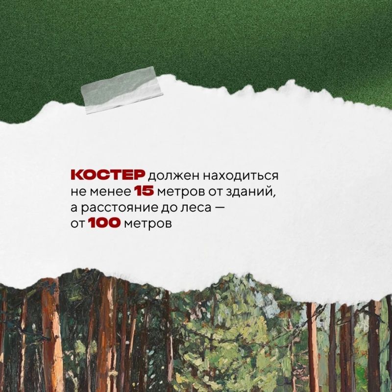 В Югре началась пора отпусков и дачного отдыха — самое время для пикников и прогулок по лесу В Югре началась пора отпусков и дачного отдыха — самое время для пикников и прогулок по лесу