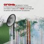В Югре началась пора отпусков и дачного отдыха — самое время для пикников и прогулок по лесу