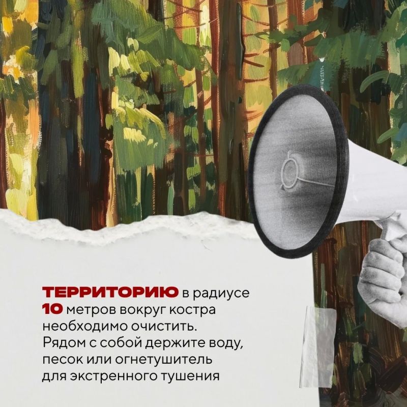 В Югре началась пора отпусков и дачного отдыха — самое время для пикников и прогулок по лесу В Югре началась пора отпусков и дачного отдыха — самое время для пикников и прогулок по лесу