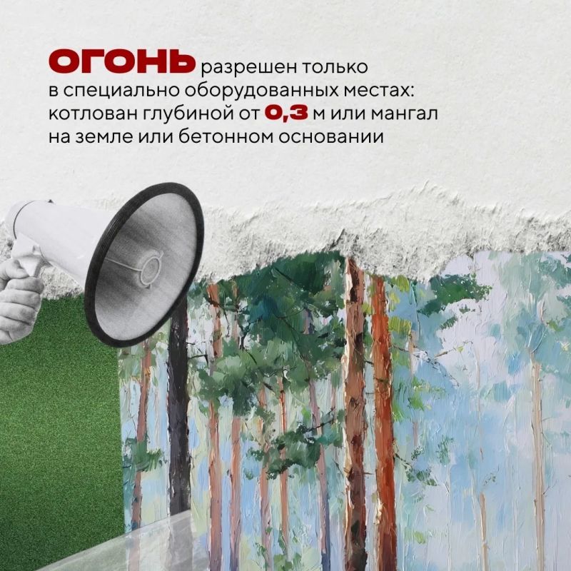 В Югре началась пора отпусков и дачного отдыха — самое время для пикников и прогулок по лесу