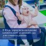 В Югре упростили получение компенсаций за детский сад для семей студентов