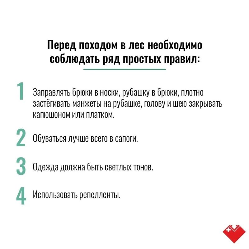 Лето в Сургуте – время, когда тянет на природу Лето в Сургуте – время, когда тянет на природу