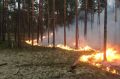 В Югре действуют восемь лесных пожаров