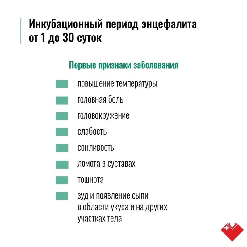 Лето в Сургуте – время, когда тянет на природу Лето в Сургуте – время, когда тянет на природу