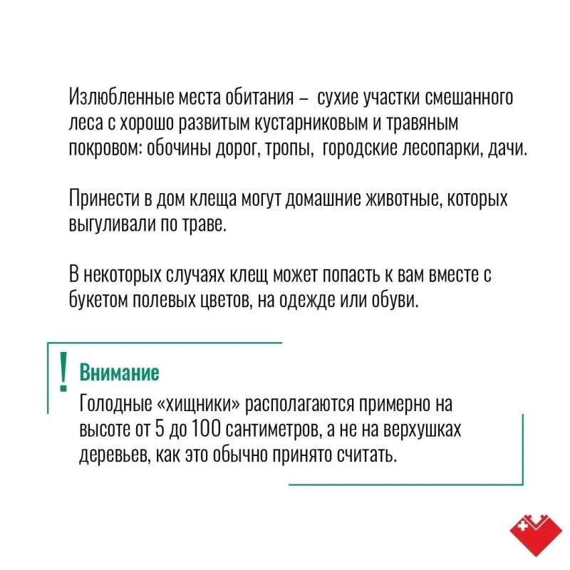 Лето в Сургуте – время, когда тянет на природу Лето в Сургуте – время, когда тянет на природу