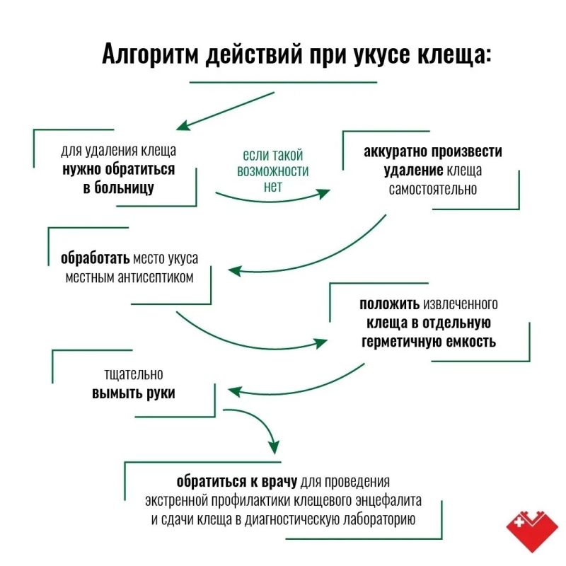 Лето в Сургуте – время, когда тянет на природу Лето в Сургуте – время, когда тянет на природу