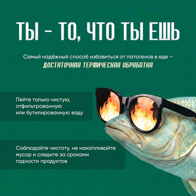 Инфекциям в кишечнике не место! Инфекциям в кишечнике не место!