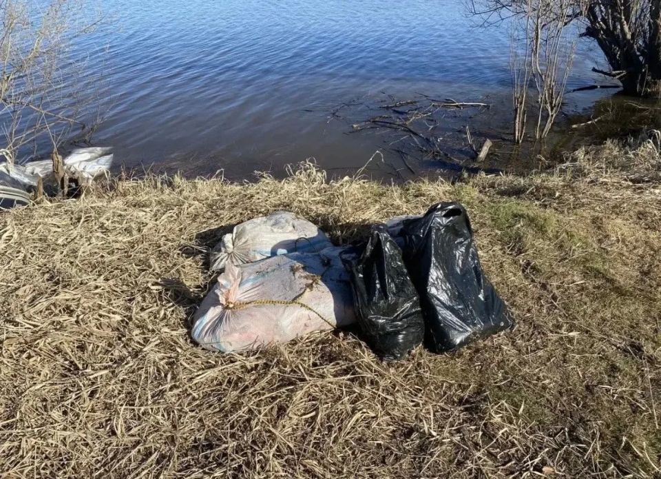 216 особей щуки, плотвы, карася, леща, налима, язя и окуня незаконно выловил рыбак на протоке Большая Юганская 216 особей щуки, плотвы, карася, леща, налима, язя и окуня незаконно выловил рыбак на протоке Большая Юганская