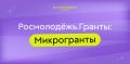 Грантовая поддержка для молодежи на противодействие экстремизму и терроризму