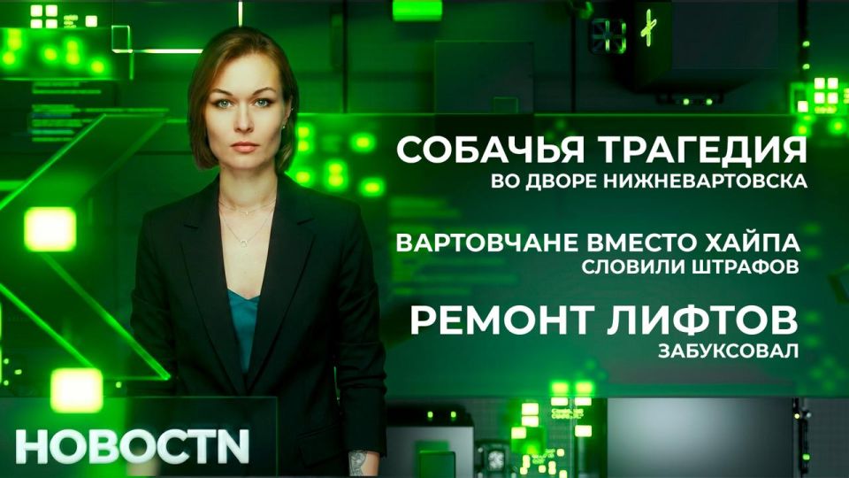 Трагедия в одном из дворов Нижневартовска: одна собака загрызла другую на глазах у соседей