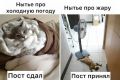 �������� ������� ��������� ���������� � �������� ��-�� ���������� ���� � ����