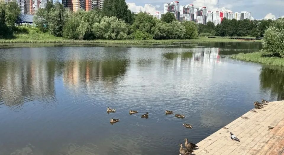 За чистотой в парке «За Саймой» следят круглый год За чистотой в парке «За Саймой» следят круглый год