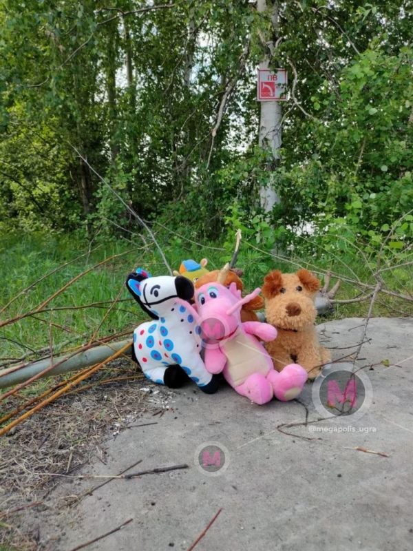 К пожарному водоёму в СТ "Берендей" в Сургуте, где накануне утонули две девочки 8 и 11 лет, люди несут мягкие игрушки К пожарному водоёму в СТ "Берендей" в Сургуте, где накануне утонули две девочки 8 и 11 лет, люди несут мягкие игрушки