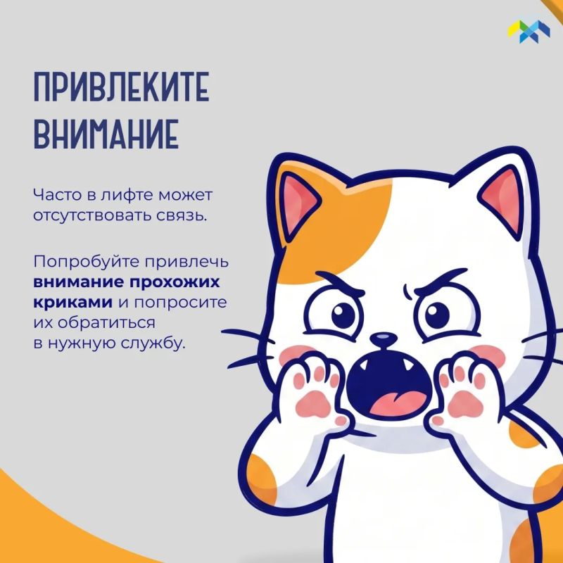Продолжаем рубрику «Что делать, если…» Продолжаем рубрику «Что делать, если…»