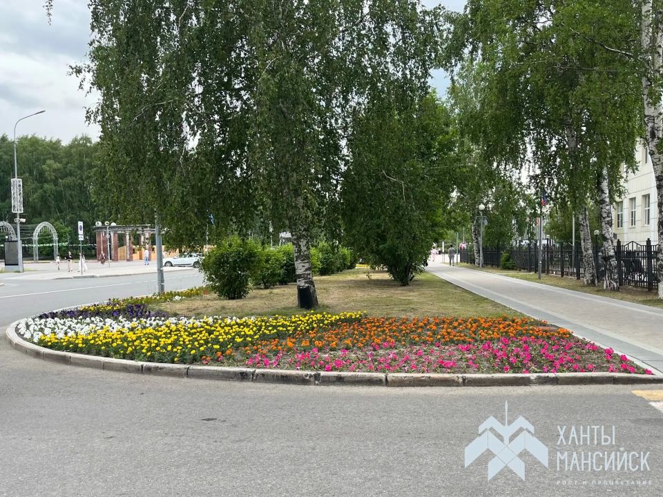 Более 270 тысяч цветов высадили в этом году в Ханты-Мансийске Более 270 тысяч цветов высадили в этом году в Ханты-Мансийске