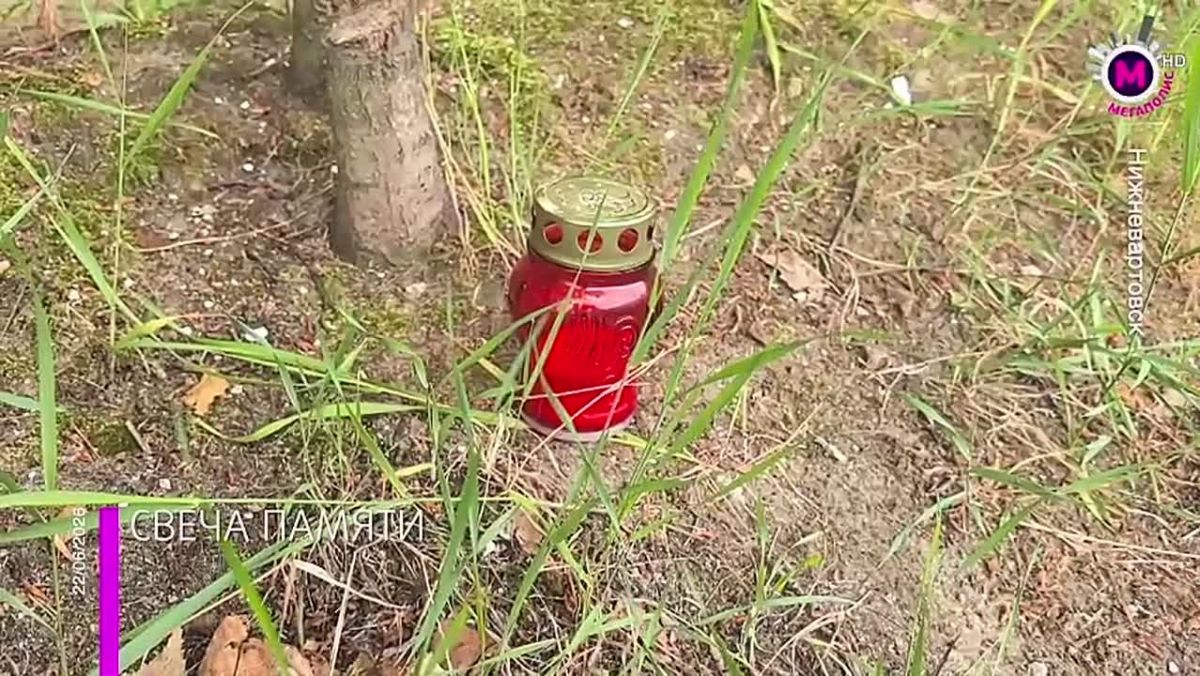 Красные гвоздики и горящие свечи у Вечного огня