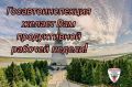 Вливаемся в рабочие будни безопасно