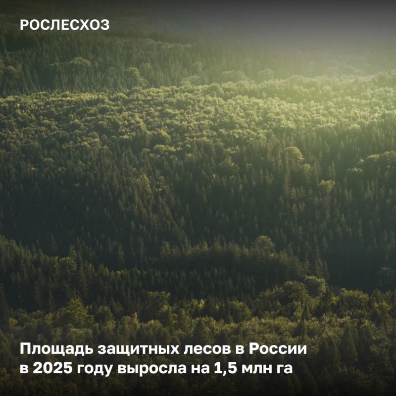 По данным государственного лесного реестра всего в России насчитывается порядка 322 млн га защитных лесов