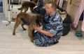 Кинолог пришел проверить, как живёт его напарница в приёмной семье