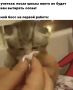 ������� �� ��������� ��������, ������� ������ ��� ������, ����� �� ���� �������� � ������ �� ��������