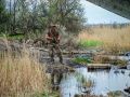 Бывшего заместителя губернатора Югры посмертно представили к ордену Мужества