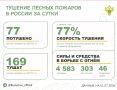 За прошедшие сутки в 22 регионах России потушили 77 лесных пожаров
