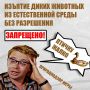 Дикие животные всегда вызывают у людей большой интерес, но иногда стремление помочь, наоборот, наносит птицам и зверям непоправимый вред!