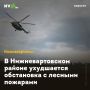 В Нижневартовском районе ухудшается обстановка с лесными пожарами