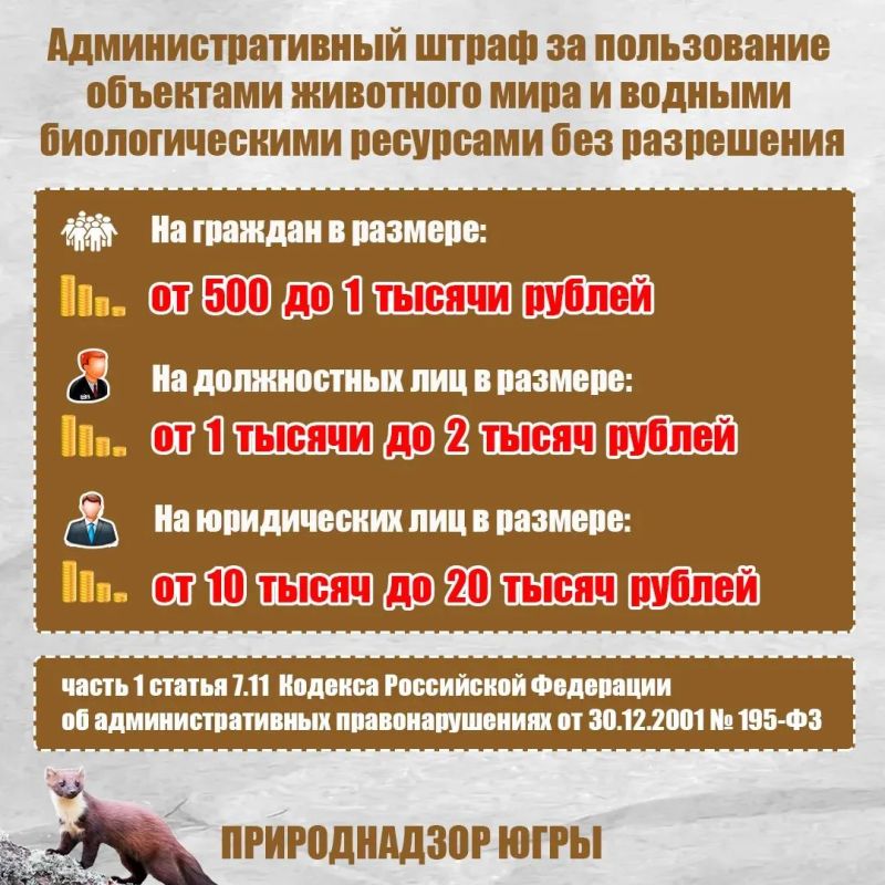 Дикие животные всегда вызывают у людей большой интерес, но иногда стремление помочь, наоборот, наносит птицам и зверям непоправимый вред! Дикие животные всегда вызывают у людей большой интерес, но иногда стремление помочь, наоборот, наносит птицам и зверям непоправимый вред!