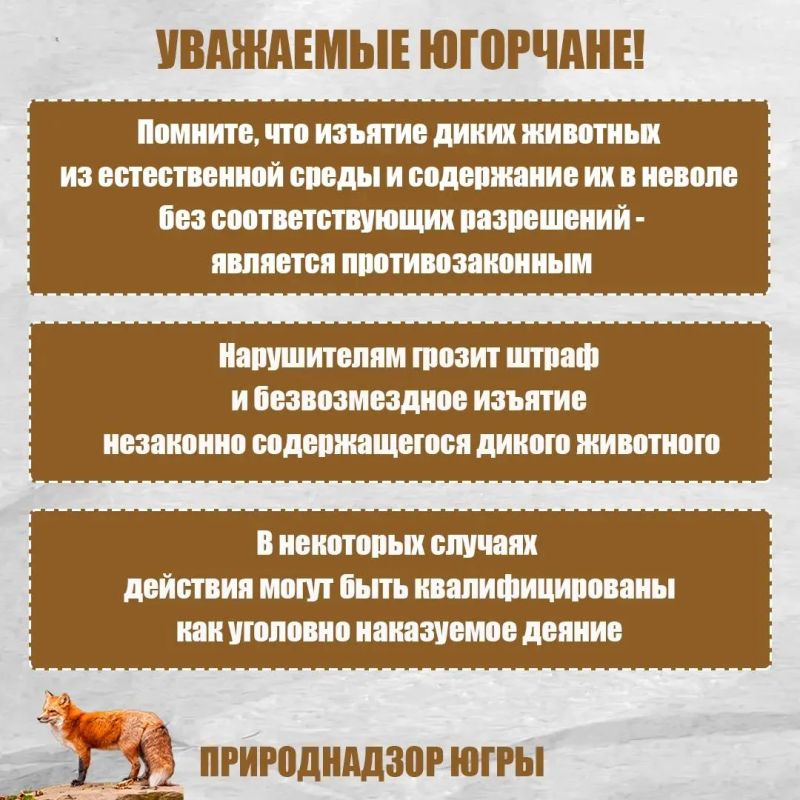 Дикие животные всегда вызывают у людей большой интерес, но иногда стремление помочь, наоборот, наносит птицам и зверям непоправимый вред! Дикие животные всегда вызывают у людей большой интерес, но иногда стремление помочь, наоборот, наносит птицам и зверям непоправимый вред!