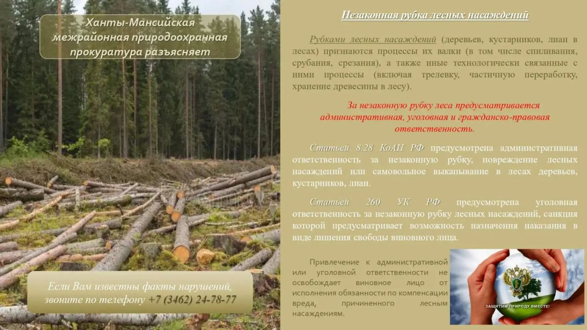 Ханты-Мансийская межрайонная природоохранная прокуратура разъясняет