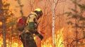 Берегите лес!. Пожалуйста, помните: -