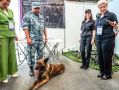 Дело каждого найдет. В столице Югры на федеральном этапе всероссийской ярмарки трудоустройства «Работа в России» работодатели традиционно предлагали посетителям погрузиться в профессию