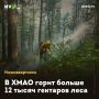 В ХМАО горит больше 12 тысяч гектаров леса