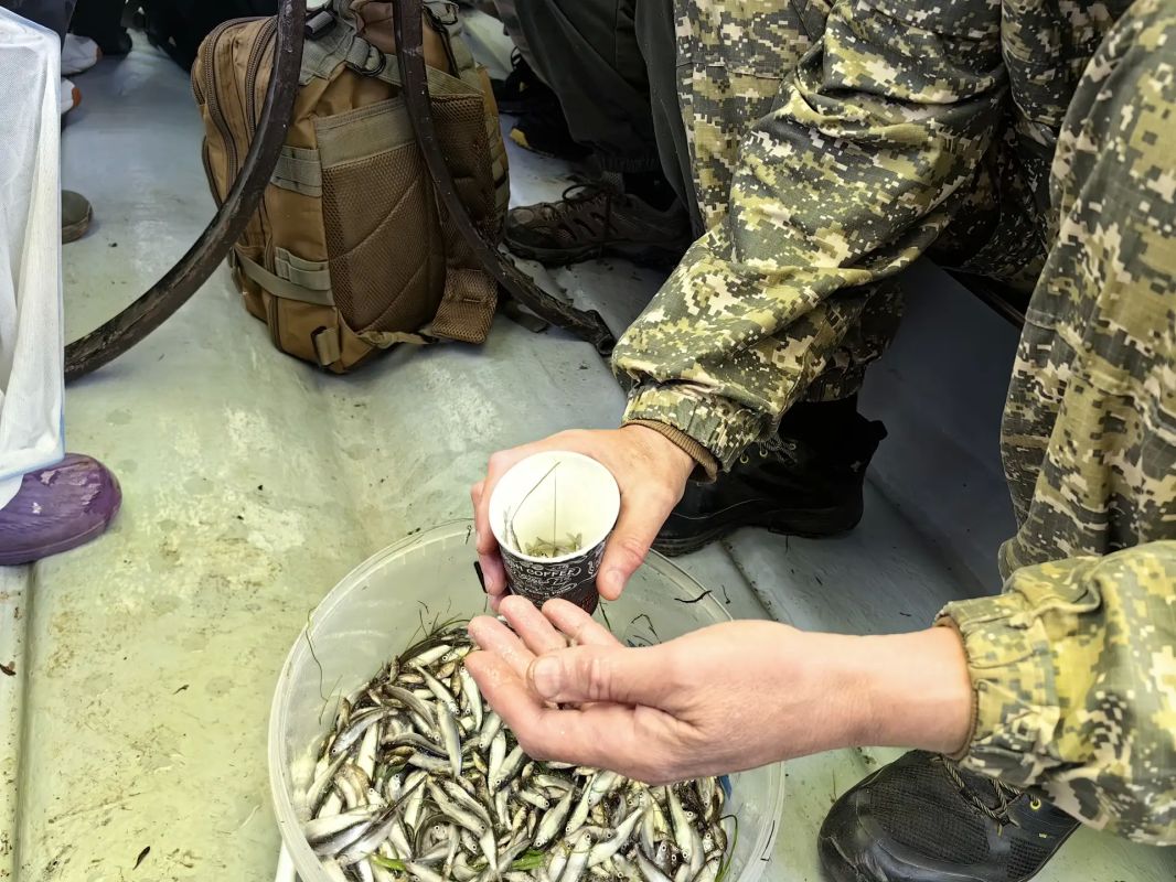 Дорожники Югры выполнили обязательства по сохранению водных биологических ресурсов Дорожники Югры выполнили обязательства по сохранению водных биологических ресурсов