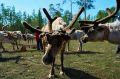 С добрым утром!. Июль балует жителей Югры теплыми днями