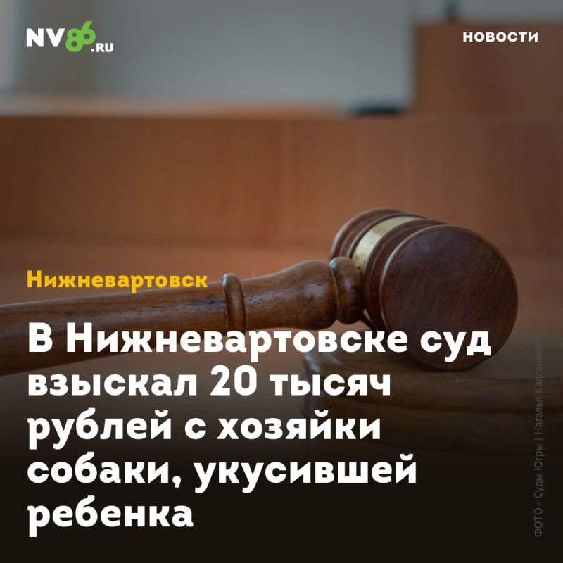 В Нижневартовске суд взыскал 20 тысяч рублей с хозяйки собаки, укусившей ребенка