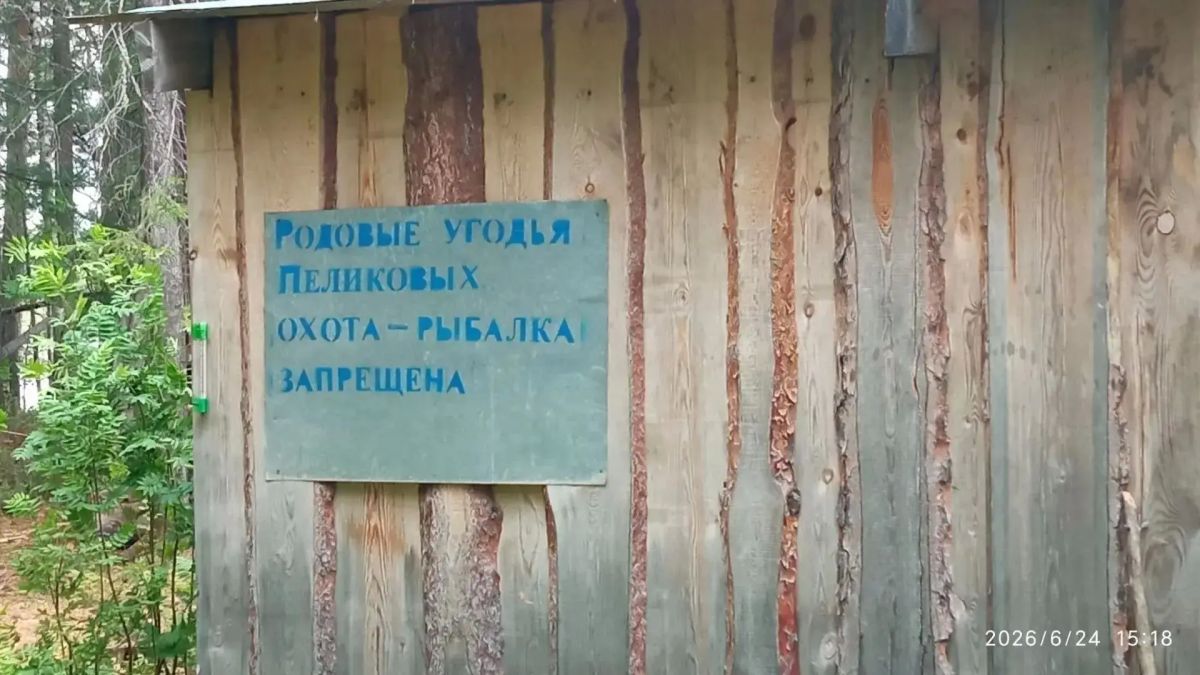 Операция «Овод» на удаленных территориях Советского и Березовского районов Операция «Овод» на удаленных территориях Советского и Березовского районов
