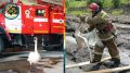 Спасание лебедя: история о доброте и профессионализме!