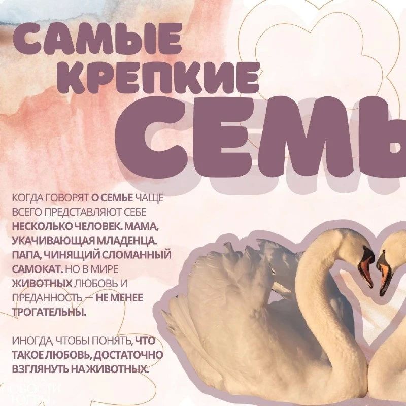 Берегите тех, кто рядом. Чаще говорите близким, как сильно вы их любите, ведь семья — самое ценное, что у нас есть