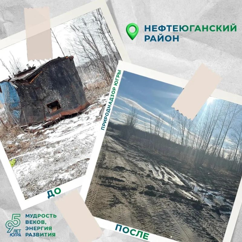 Санитарная очистка лесов Нефтеюганского района Санитарная очистка лесов Нефтеюганского района