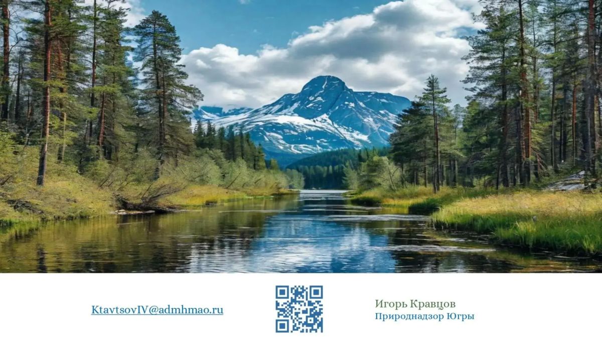 Югра представила опыт применения ИИ-мониторинга на Международной промышленной выставке ИННОПРОМ-2026 Югра представила опыт применения ИИ-мониторинга на Международной промышленной выставке ИННОПРОМ-2026