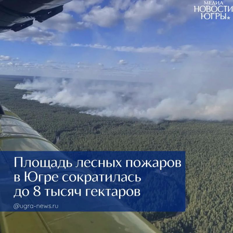По данным Авиалесоохраны в ХантыМансийском автономном округе продолжают действовать 20 лесных пожаров