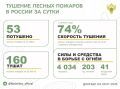 За прошедшие сутки в 17 регионах России потушили 53 лесных пожара